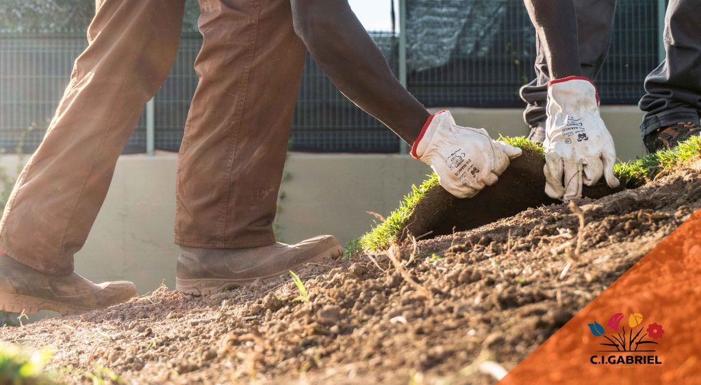 Servizi Principali di Giardinaggio e Paesaggistica Roma-Italia